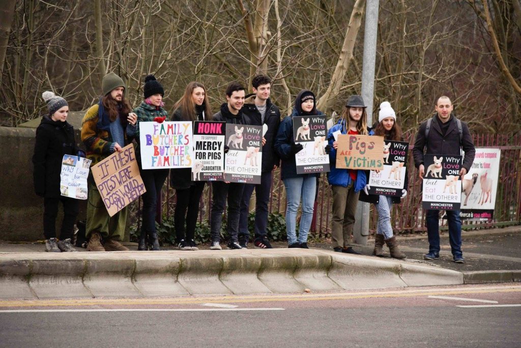 Manchester Pig Save