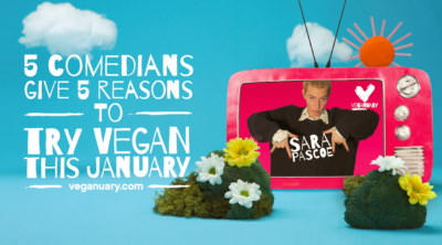 Comedians reasons to go vegan