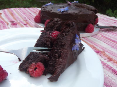 Vegan chocolate cake with berries