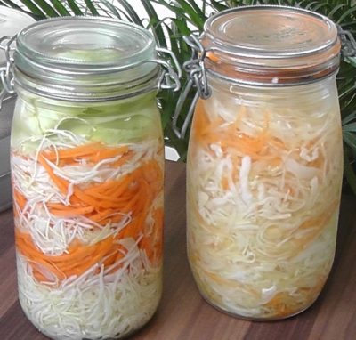 Fermented Vegetables