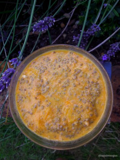 Mango and Chia Seed Pudding