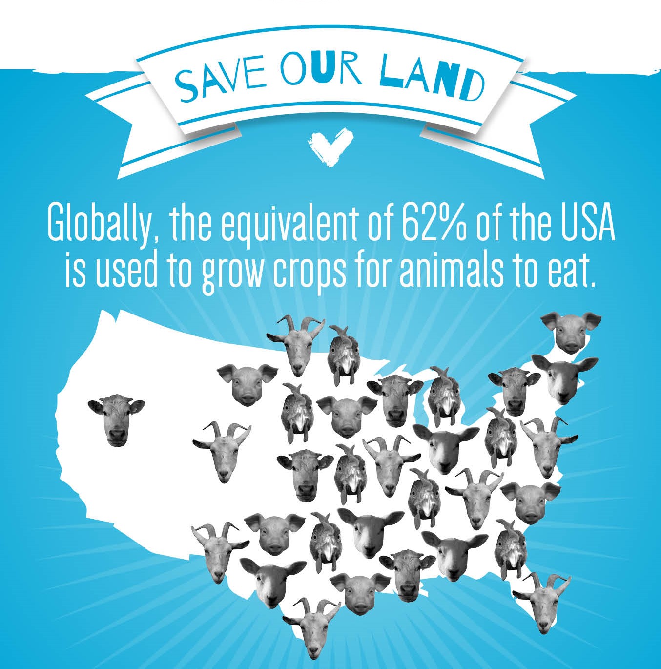 How much land is taken to grow crops for animals
