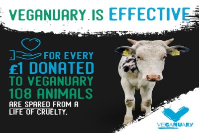 Veganuary is effective graphic