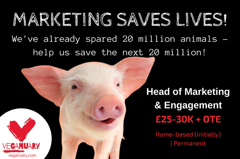 Veganuary Marketing Image
