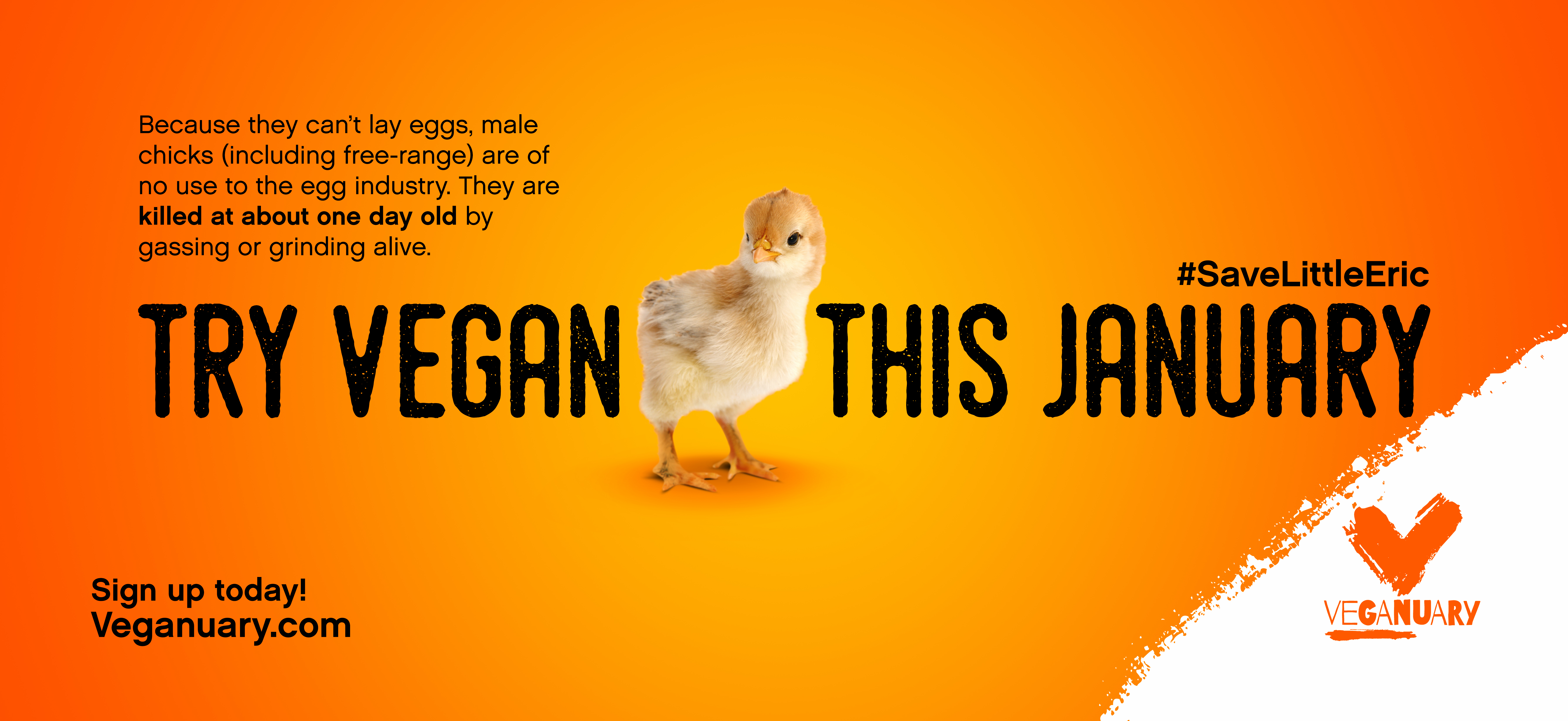Veganuary Advert