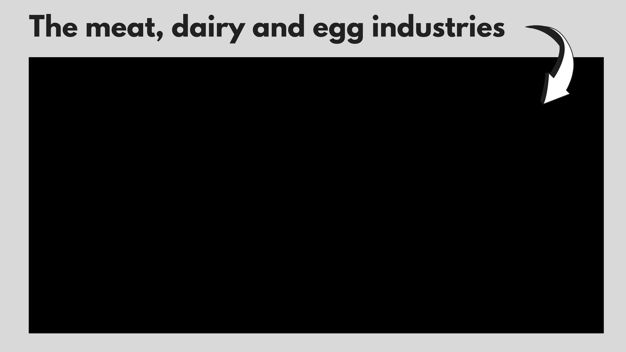 Meat, dairy and egg industries