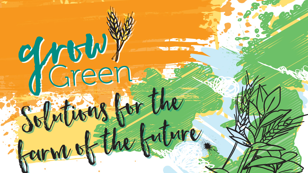 the truth about vegans