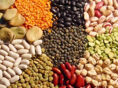 Pulses and legumes