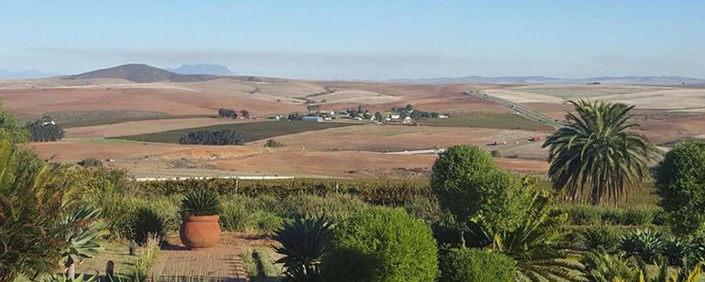 A stunning vegan holiday destination