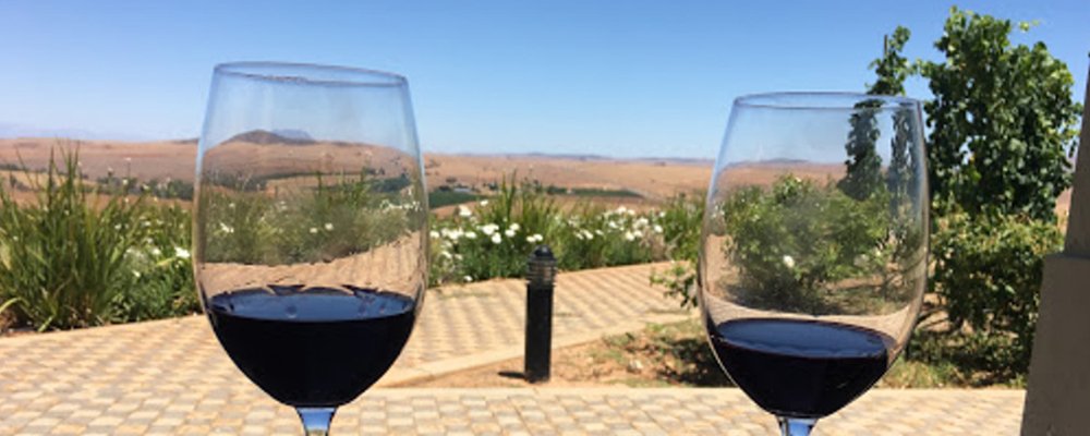Two glasses of wine in an outdoor setting - perfect for a vegan holiday in the Western Cape