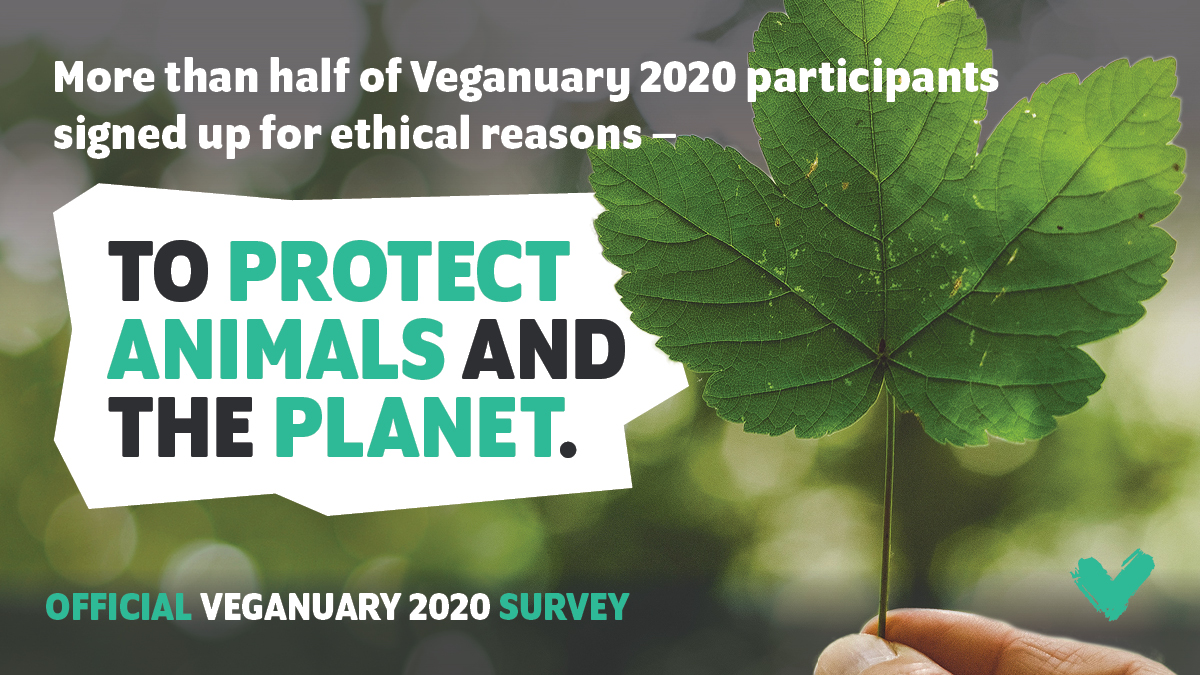 Image of a leaf with text 