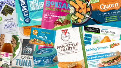 UK fish alternative products
