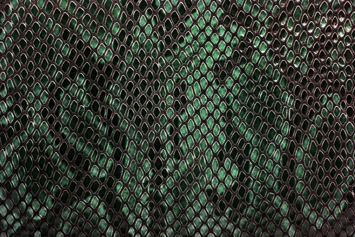 Snake skin background
