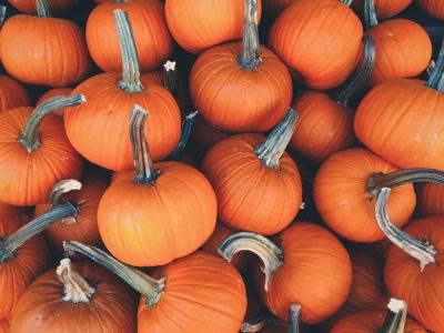 Vegan pumpkin recipes