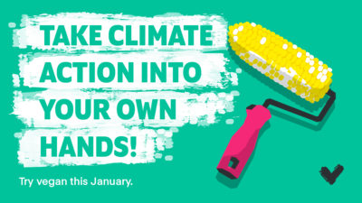 Take climate action into your own hands