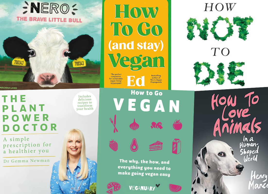 Vegan Books Blog Cover 2025