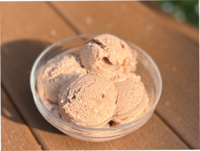Chocolate Ice Cream in a Bowl