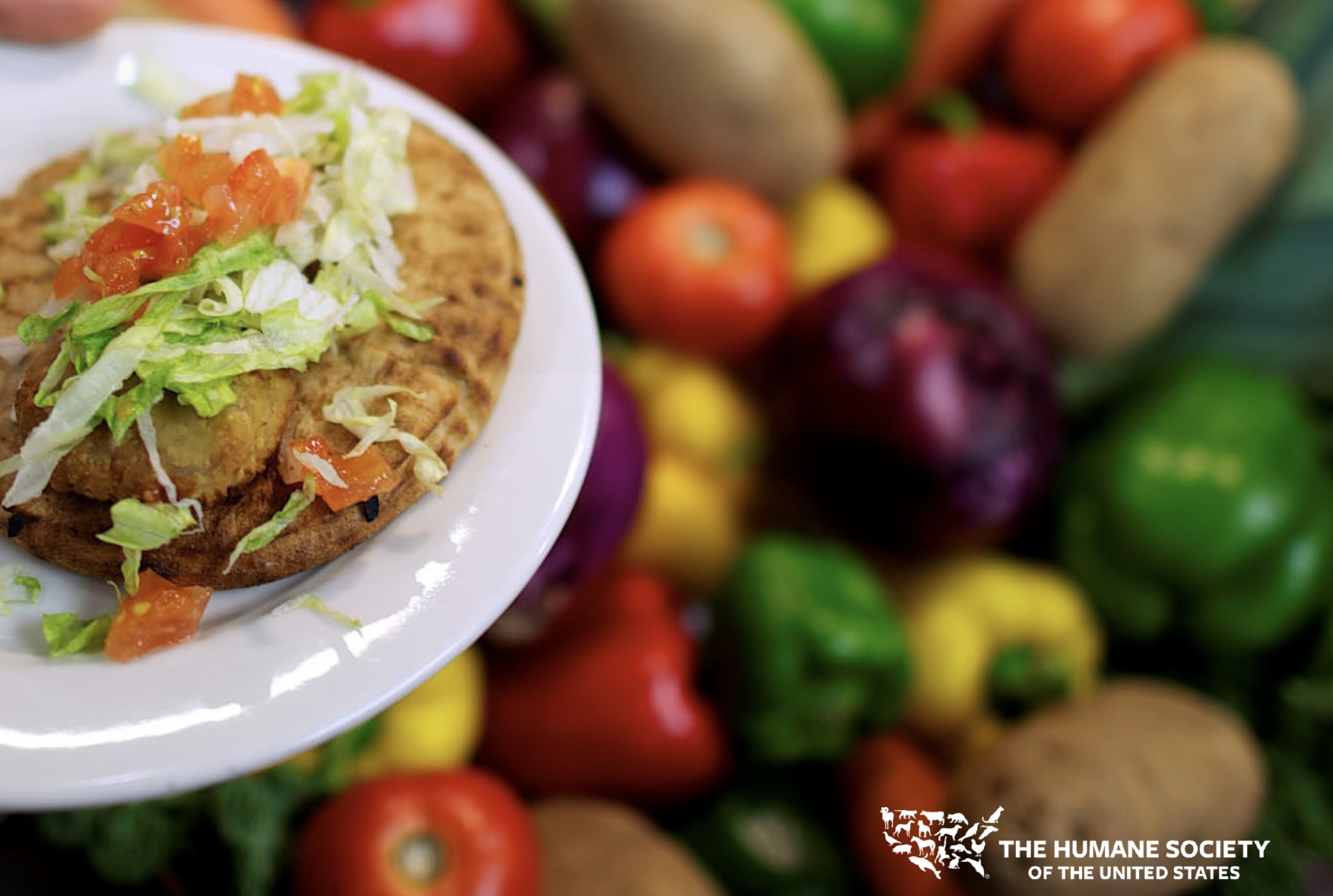 Vegan Food on a Plate